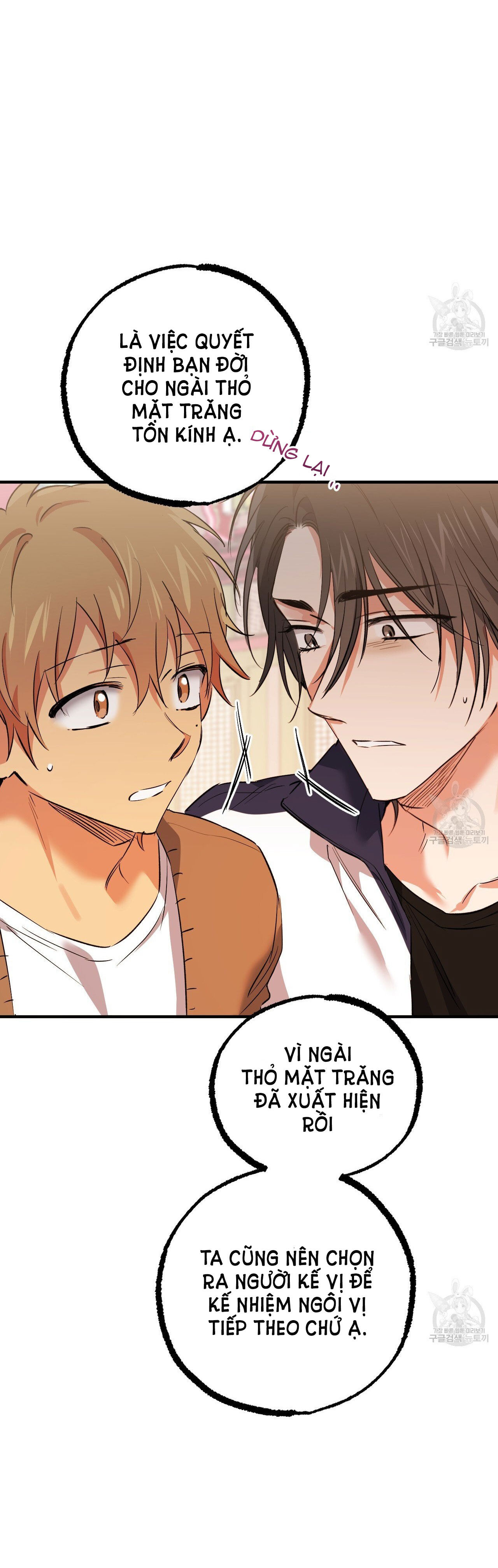 những chú thỏ của hapypy chapter 62.2 14