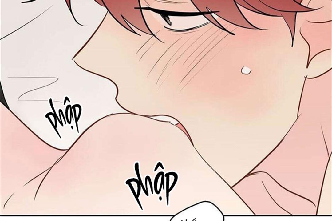 chuyện quái gì với giấc mơ đó vậy chapter 29 144