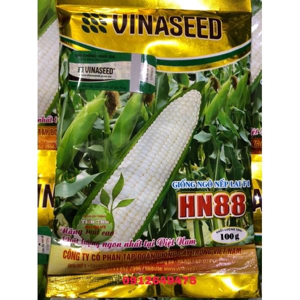 HẠT GIỐNG NGÔ NẾP LAI F1 HN88-Hàng chất lượng cao