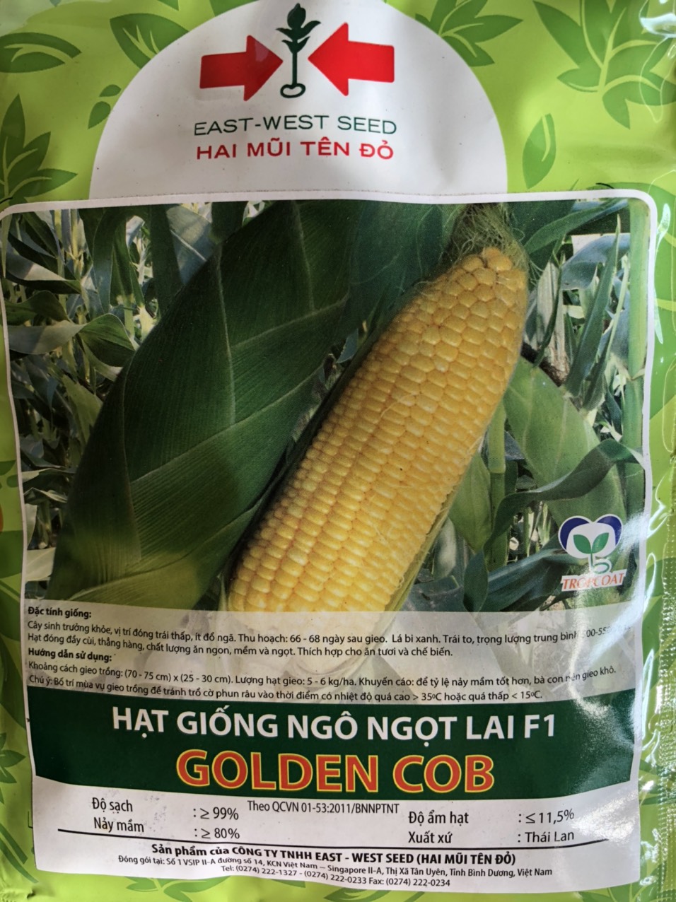 Hạt Giống Ngô Ngọt Lai F1 GOLDEN COB Năng Suất Cao 50gram