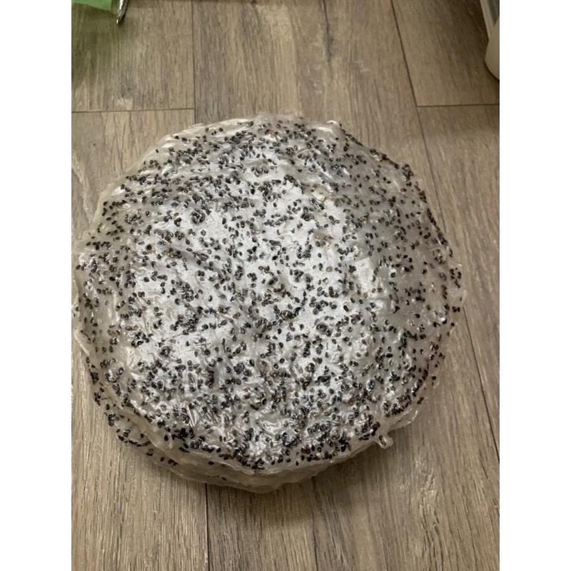 Đặc sản Tây Ninh - Bánh tráng nướng mè đen tây ninh 10 cái bánh dầy