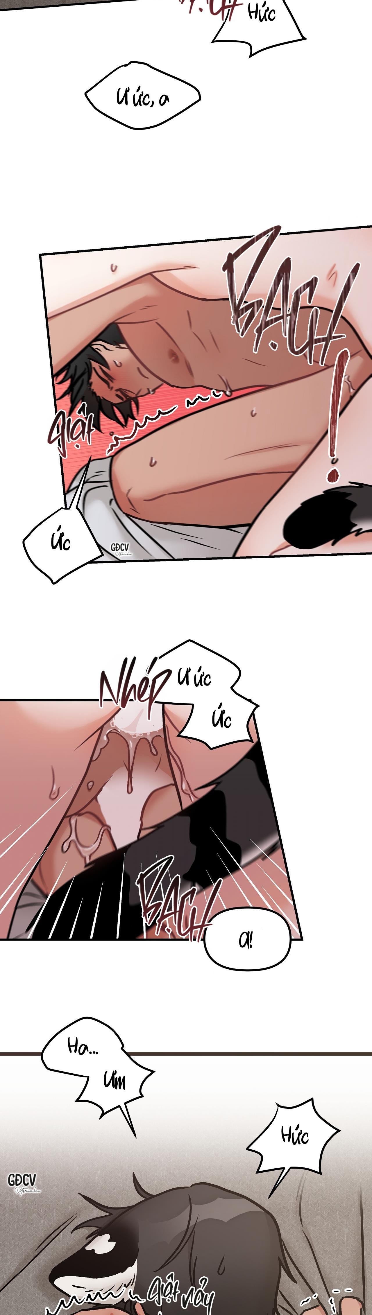 thưa ngài hổ, tôi đã ăn rất ngon miệng chapter 12 28