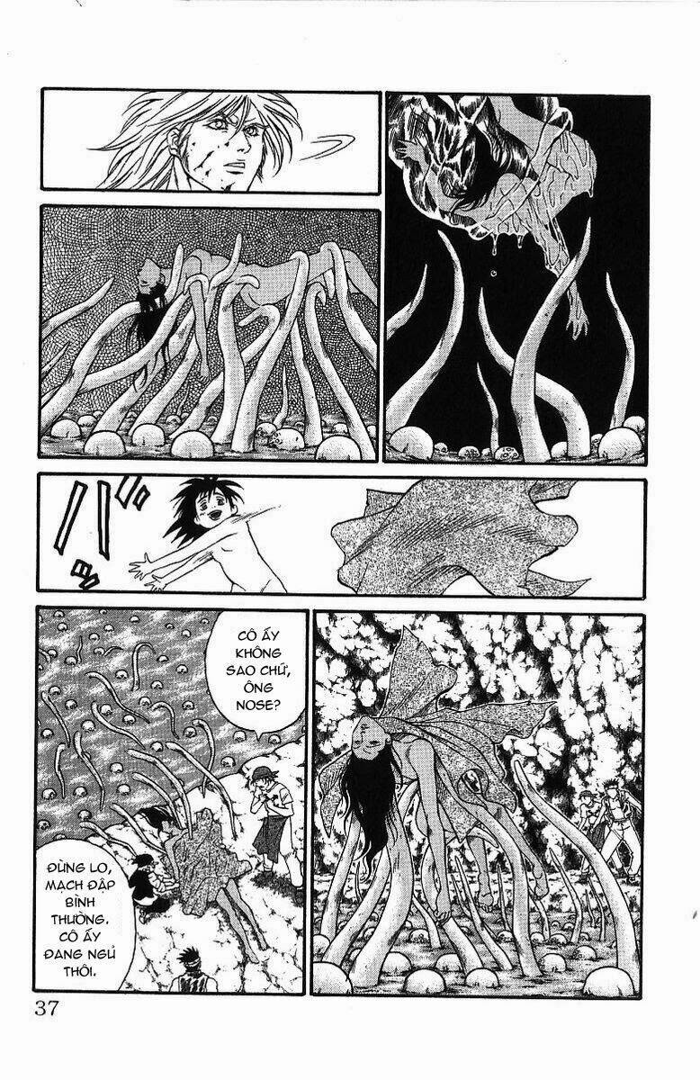 vua trên biển chapter 170 12