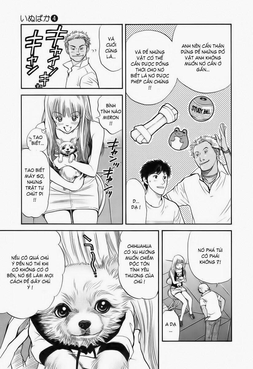 cô nàng yêu chó chapter 35 13