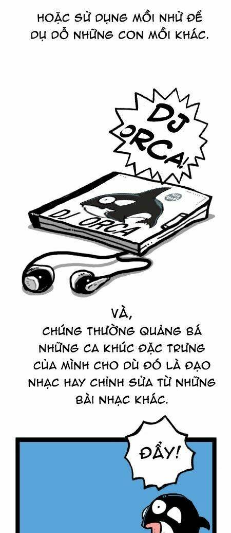 earth, human, and animal chapter 23 22