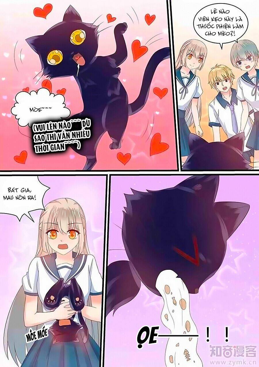 luyến ái sinh tử bộ chapter 62 6