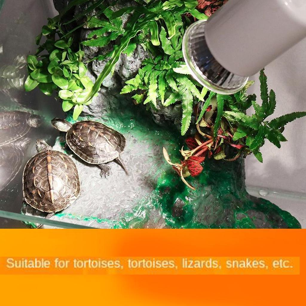 220V DAYLIGHT BEAM BASKING SPOT LAMP HEAT REPTILE BULB SUN LIGHT 25W