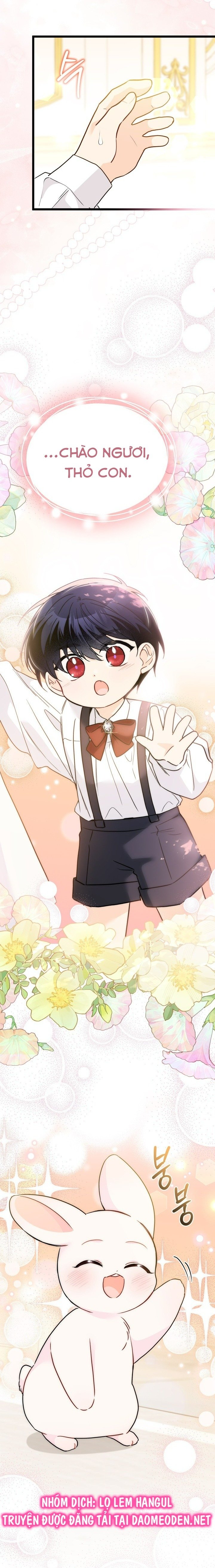 mối liên kết giữa báo đen và bé thỏ chapter 168 54