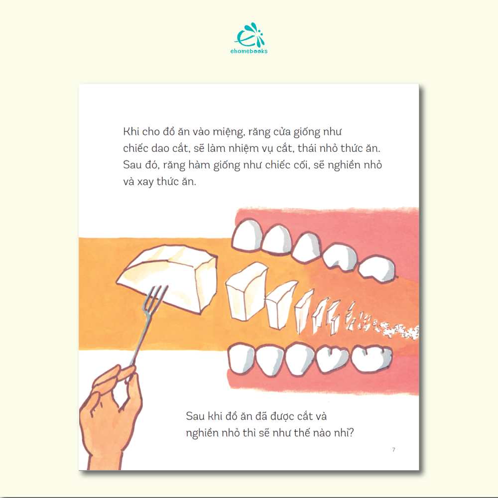 Chuyện Những Chiếc Răng