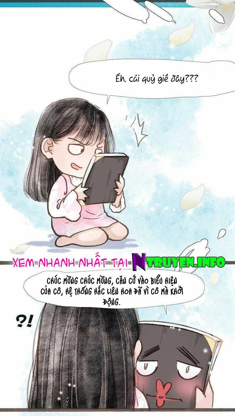nữ phụ không điển hình chapter 0 24