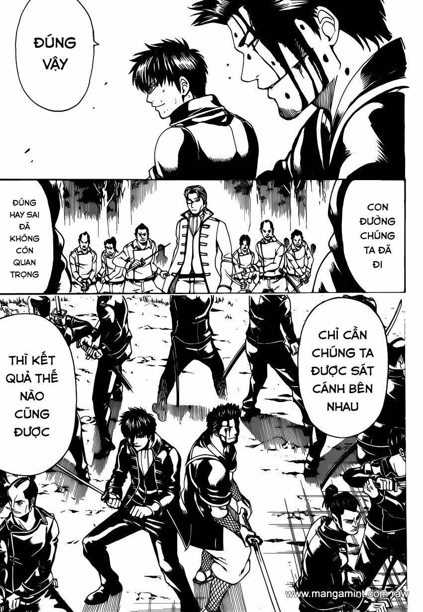 gintama - linh hồn bạc chapter 538 11
