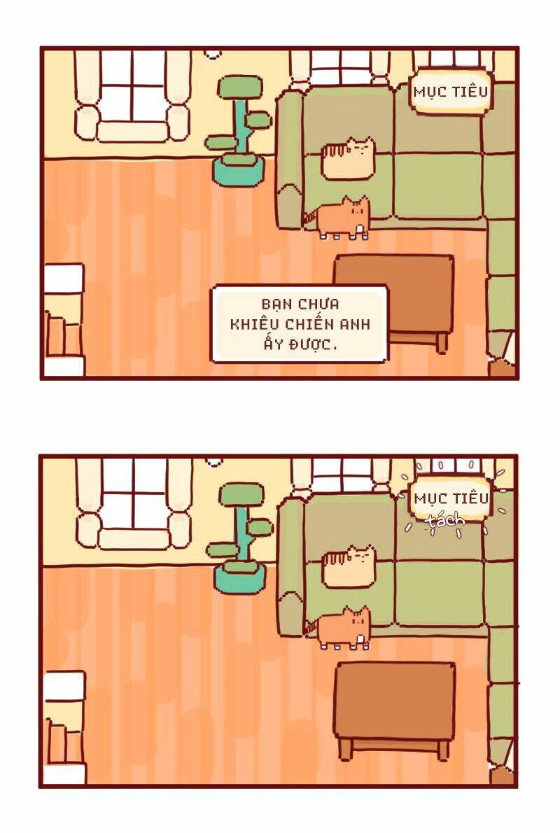 saphie: chú mèo một mắt chapter 16 3