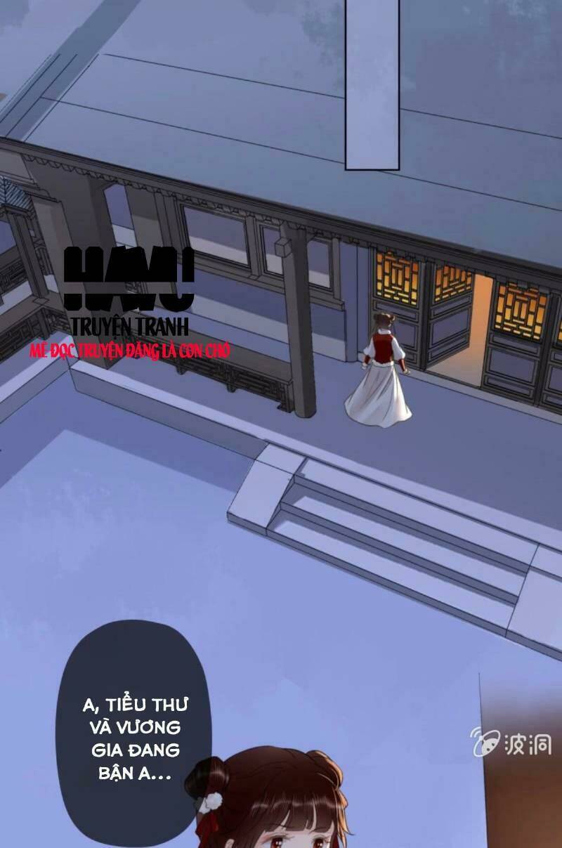 sủng phi của vương chapter 145 22