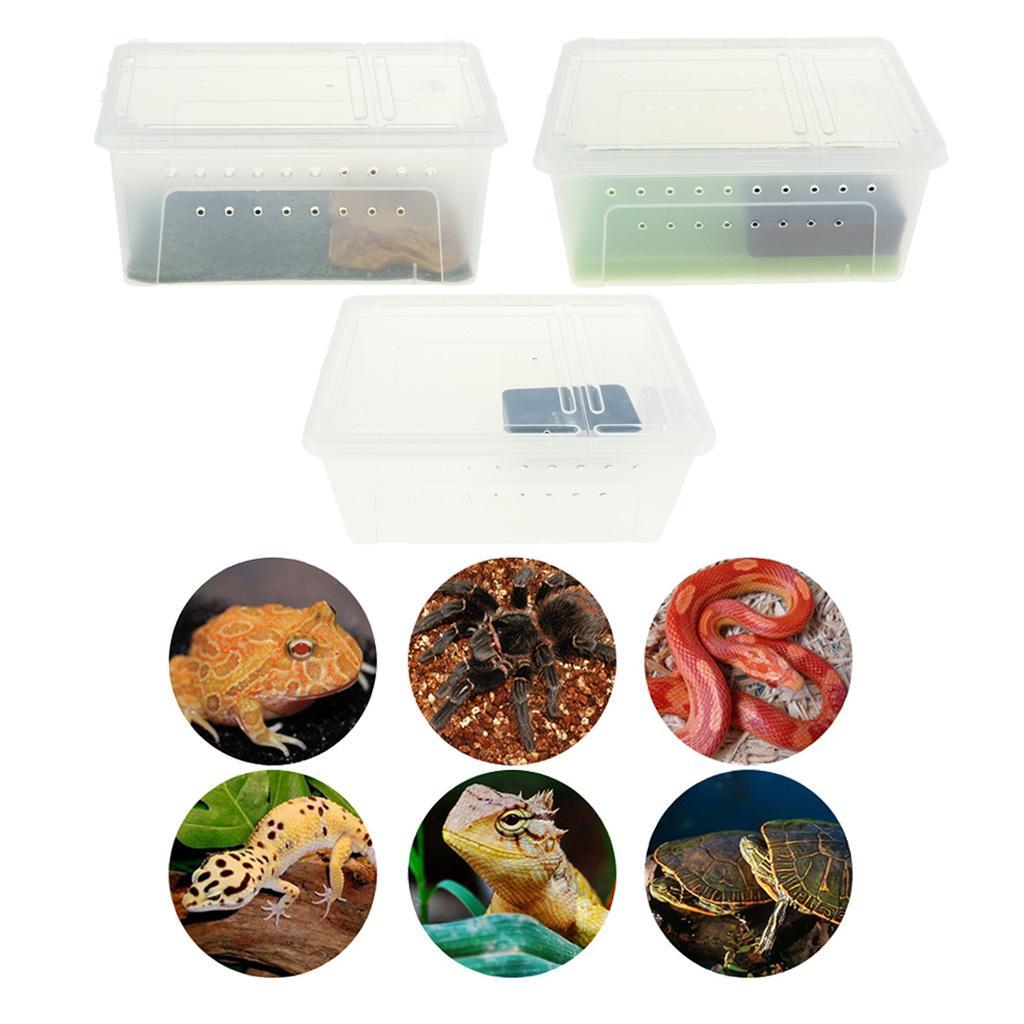 Reptile Amphibian Habitat Terrarium Vivarium Breeding Box