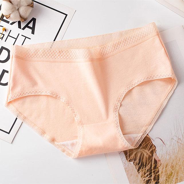Combo 4 Quần lót nữ Cotton thời trang  QL 8135