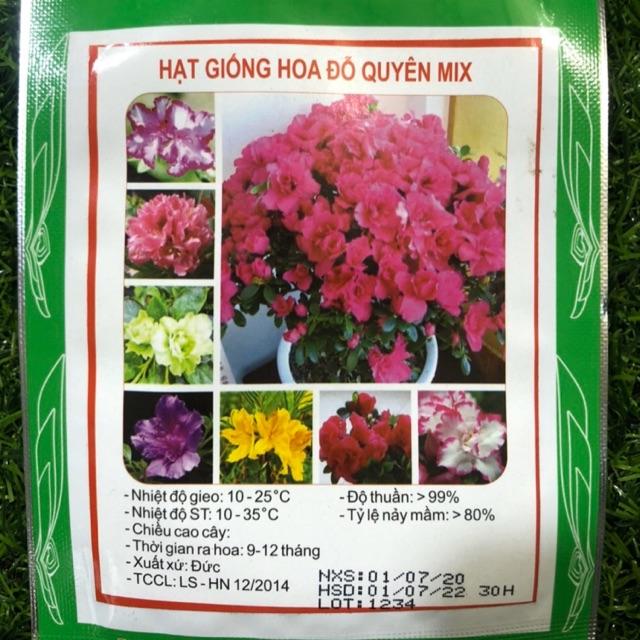 HẠT GIỐNG HOA ĐỖ QUYÊN MIX (30hạt/gói)