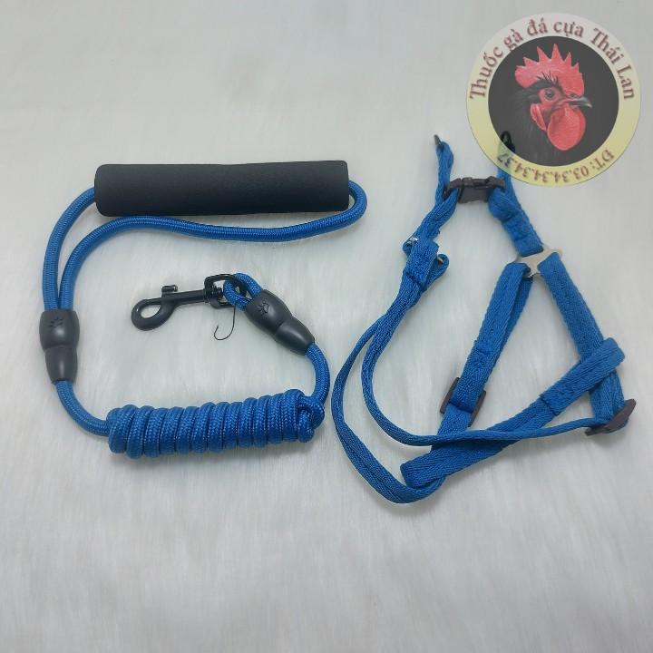 Dây xích và vòng cổ chó Trung