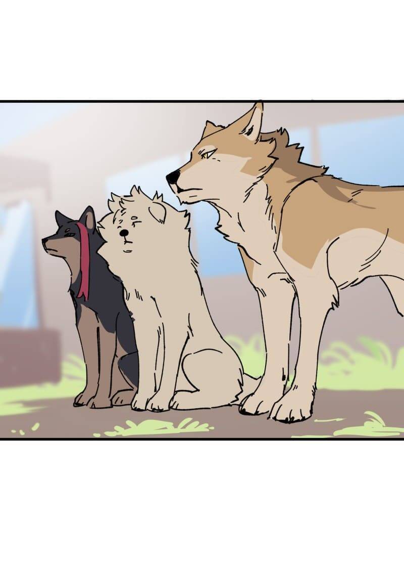 lumine - cội nguồn ánh sáng chapter 149 19