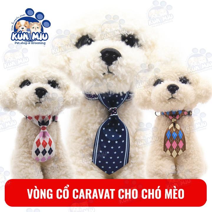 Vòng cổ caravat cho chó mèo