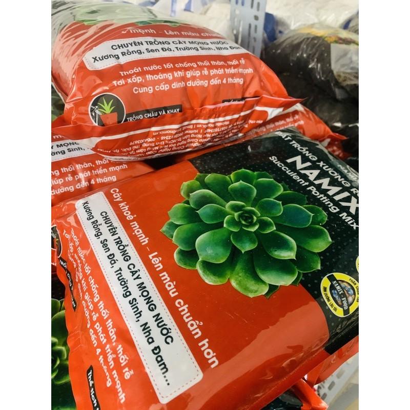 Đất trồng xương rồng, sen đá Namix Succulents Potting Mix