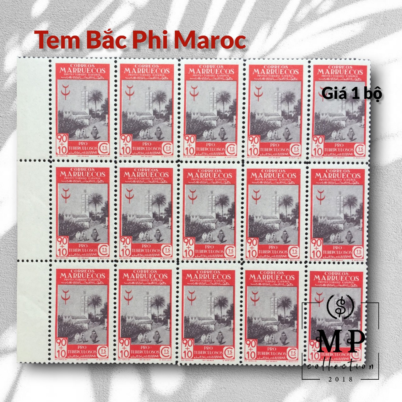 Bộ 5 tem xưa Bắc Phi Maroc thuộc địa Tây Ban Nha sưu tầm.