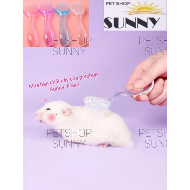 Bàn chải lông hamster, thỏ, bọ