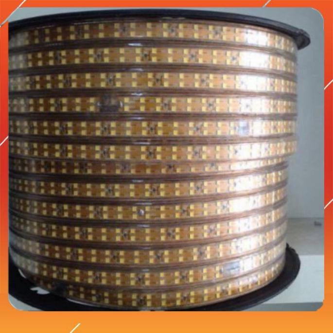 Dây led 2835 - 2 hàng , 2835 - 3 hàng - ánh sáng vàng điện 220V ánh sáng trắng, ánh xanh dương