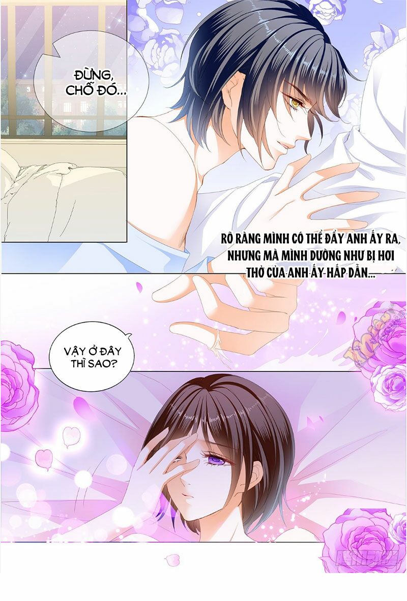 thiểm hôn kiều thê chapter 244 6