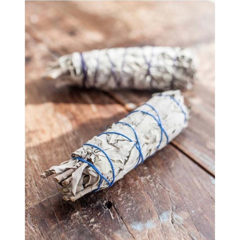 Xô Thơm Trắng White Sage Thanh Tẩy Năng Lương Tiệu Cực