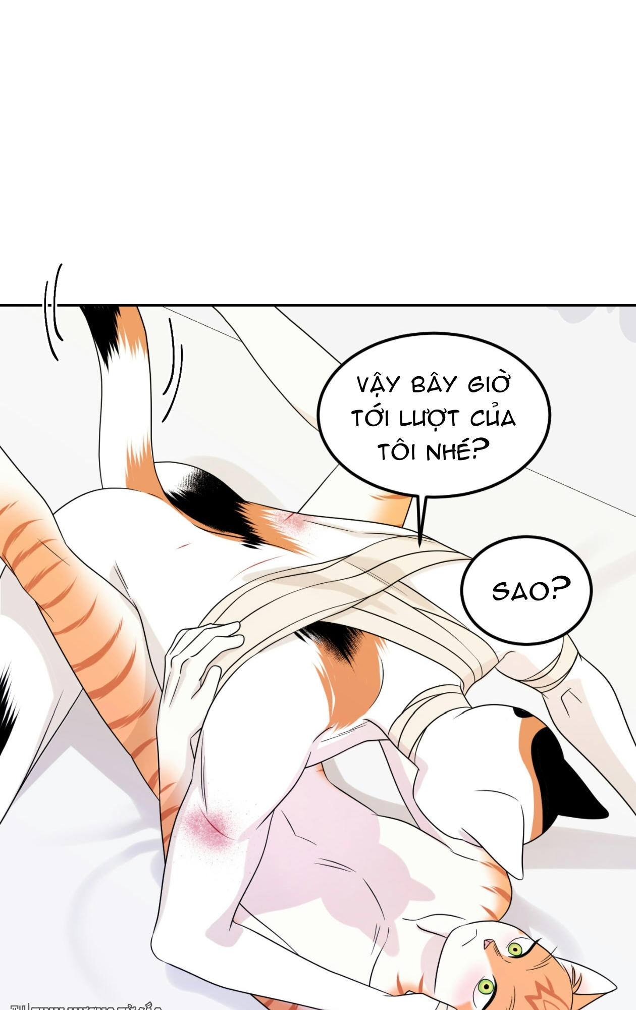 dự án xanh chapter 23 14