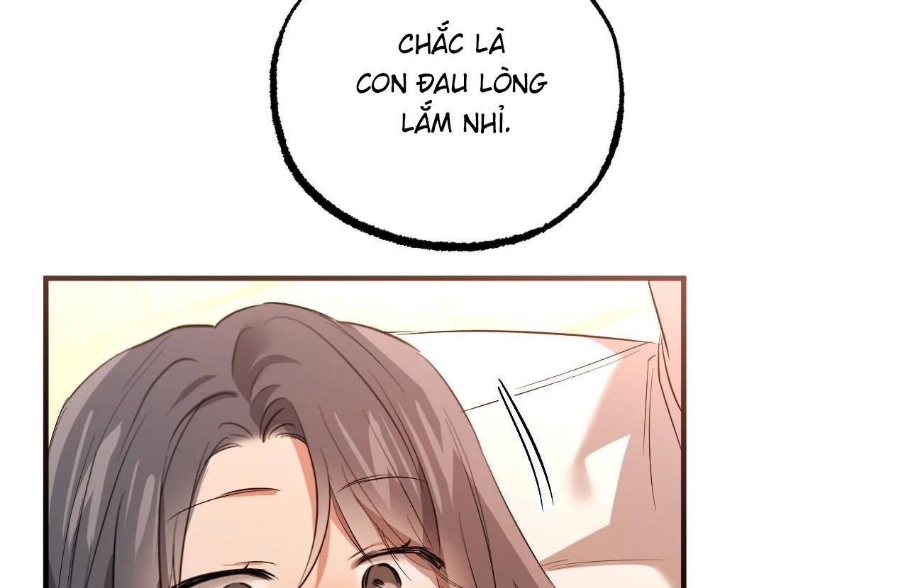 những chú thỏ của hapypy chapter 65 47