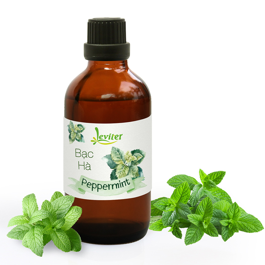 Tinh Dầu Leviter Bạc Hà (100ml)