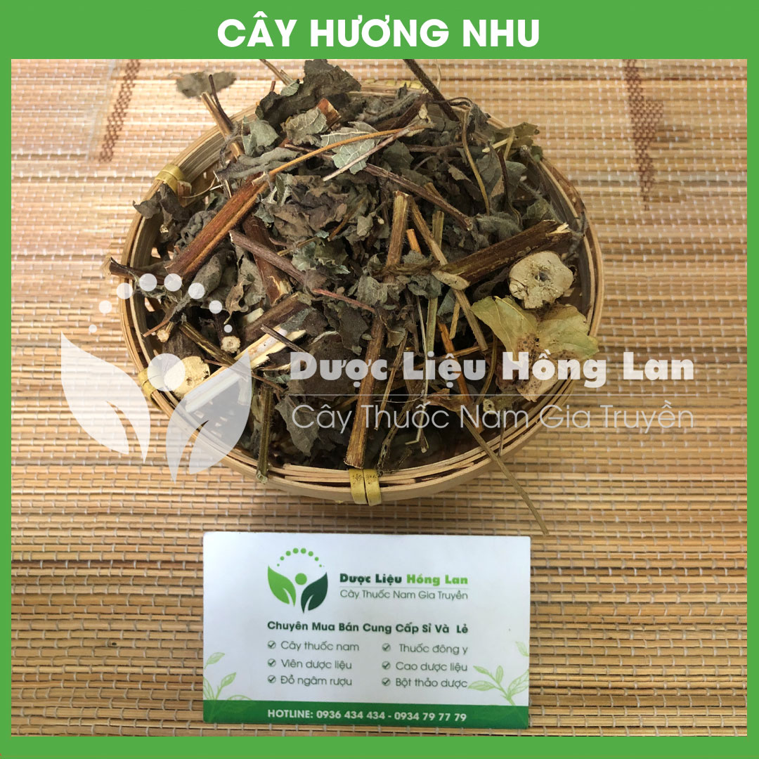 500g Cây Hương Nhu khô sạch