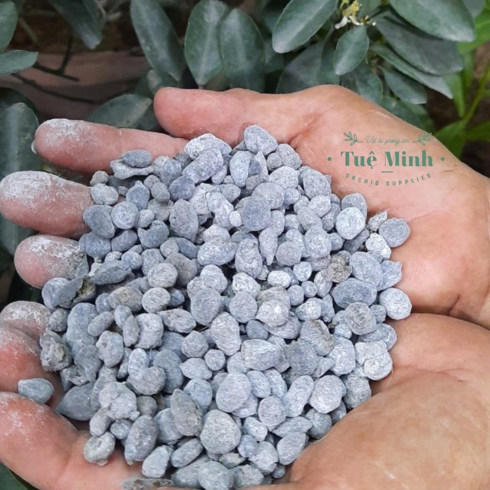 Combo 250g phân dê đã qua xử lý dùng để bón cây trồng, phong lan