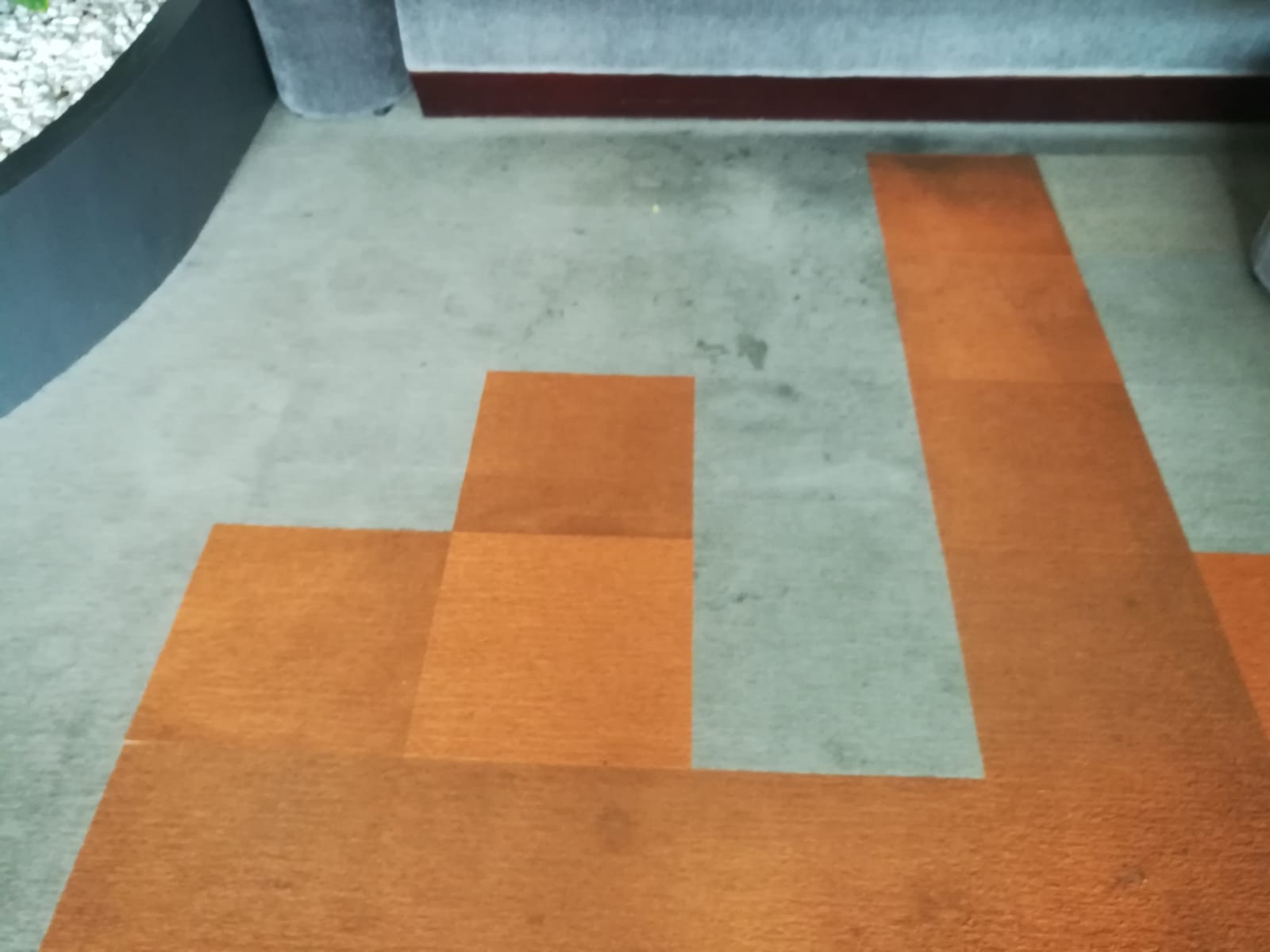 Nước giặt thảm Degrasan Carpet Care