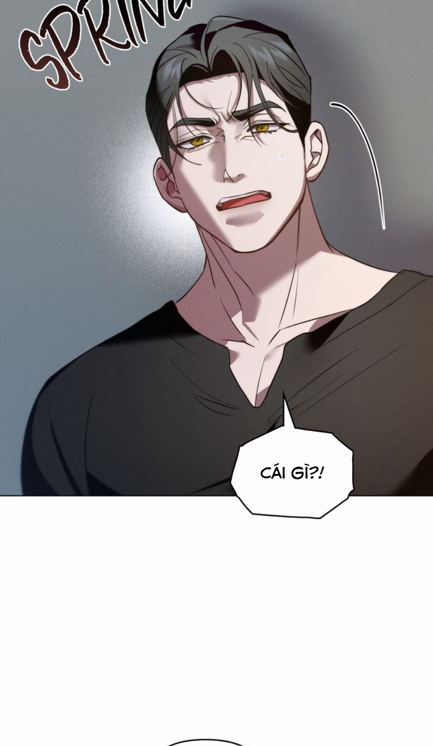 chàng người sói phát điên vì tôi chapter 43 8