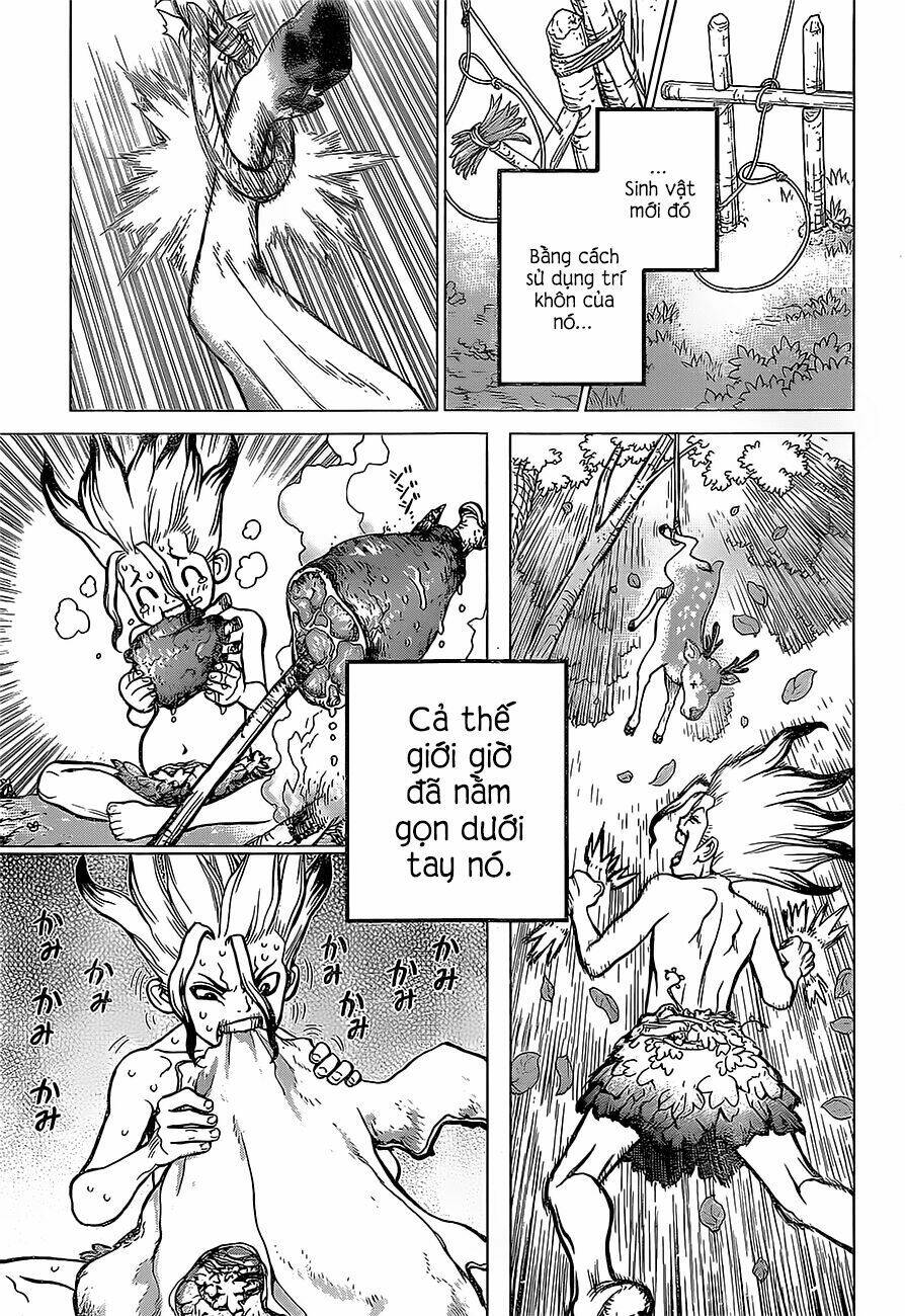 dr.stone - hồi sinh thế giới chapter 13 17