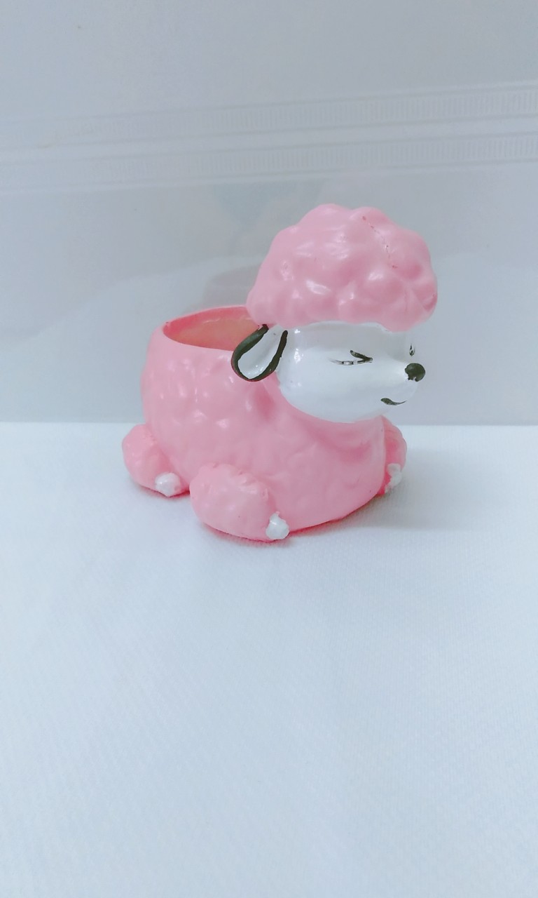 Chậu trồng cây sen đá, xương rồng mini, Cừu hồng kích thước miệng chậu 6m