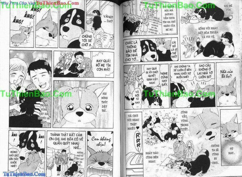 chó con mo mo chapter 6 36