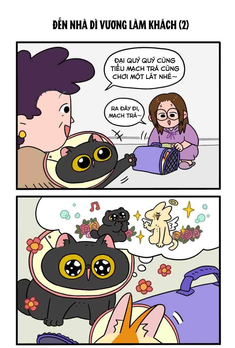 a mãn và mạch trà chapter 22 3