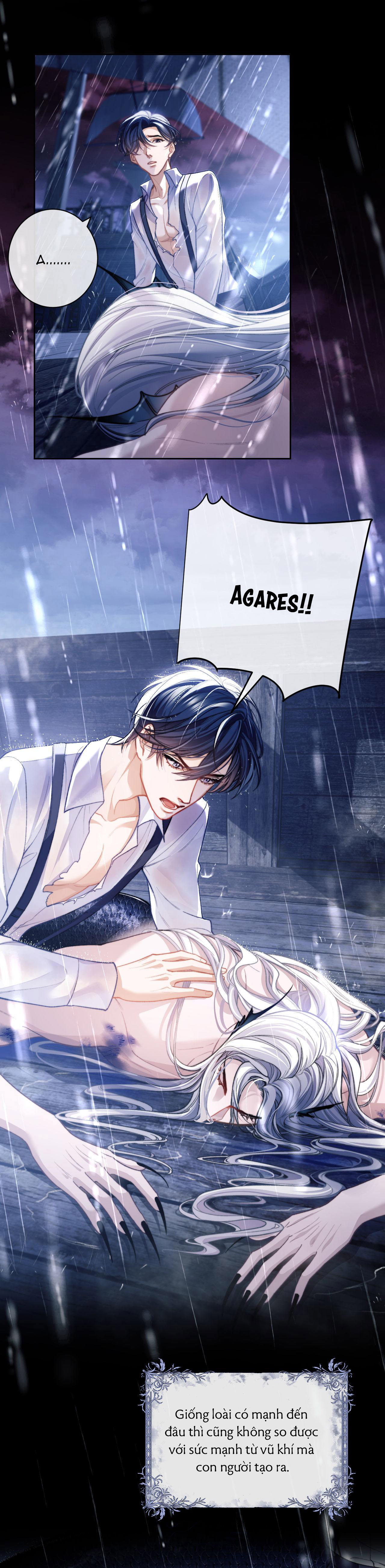 nhân ngư dessaro chapter 8 3