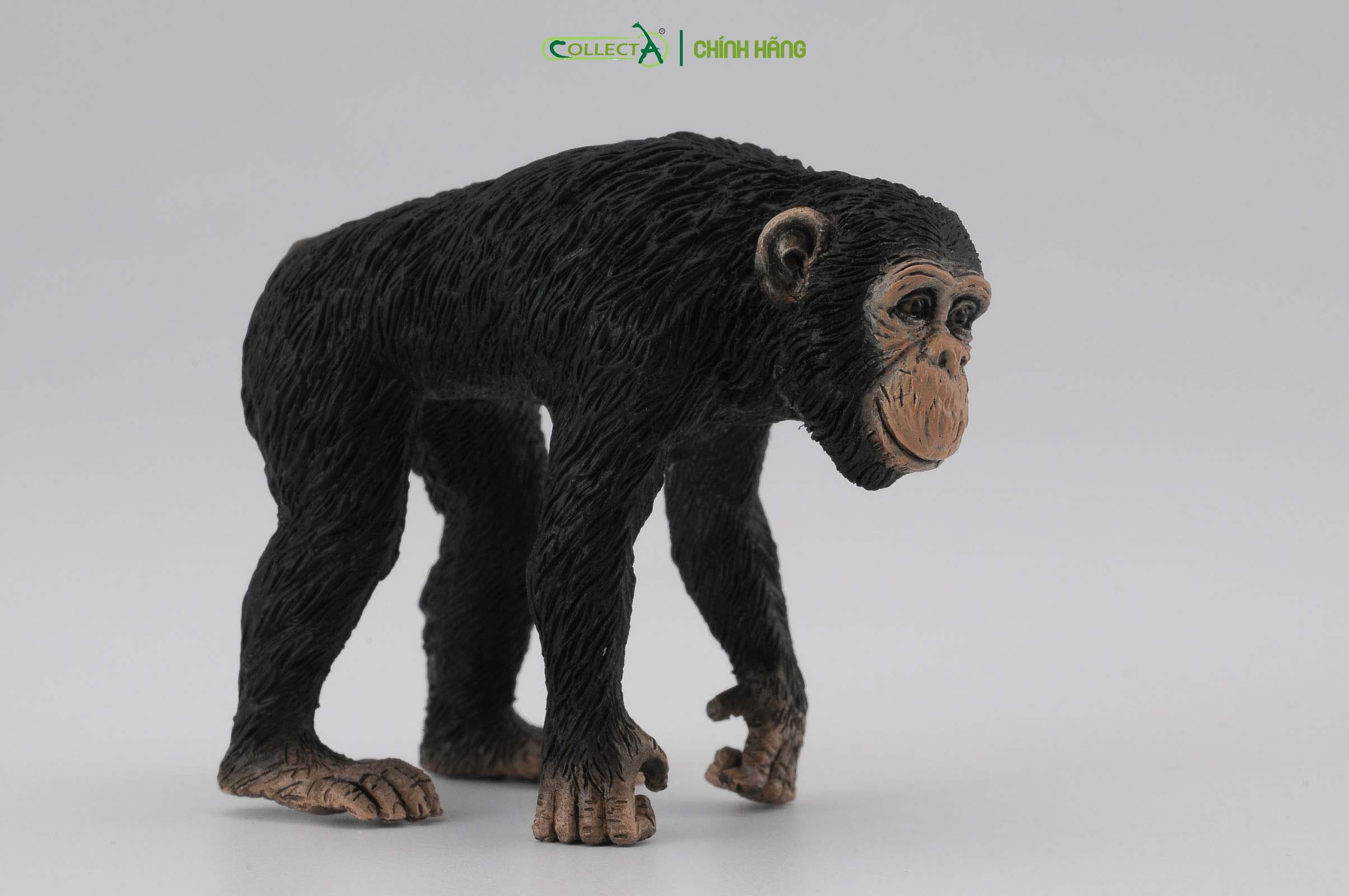 Mô hình thu nhỏ: Tinh Tinh mẹ - Chimpanzee Female, hiệu: CollectA, mã HS 9651030[88493] -  Chất liệu an toàn cho trẻ - Hàng chính hãng