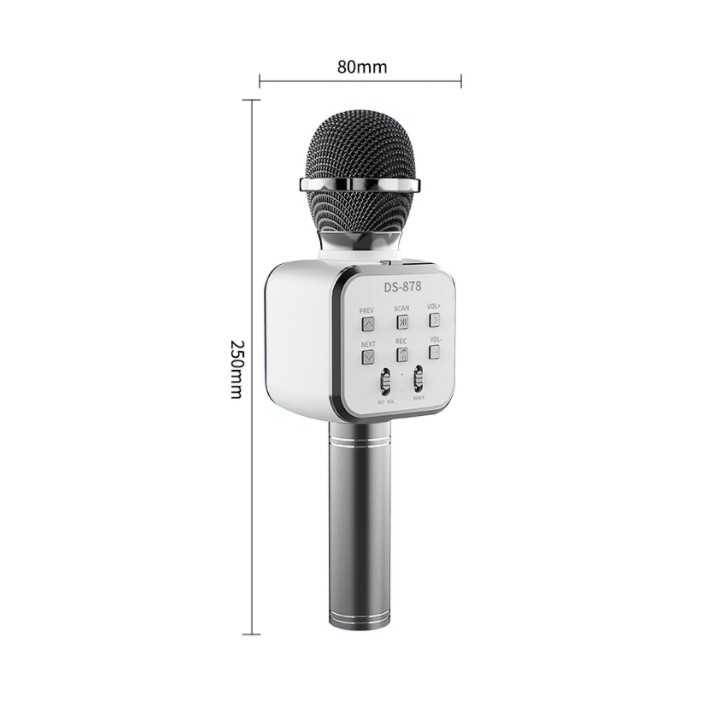 Mic hát karaoke DS-878 kèm loa bluetooth không dây hàng mới 2020