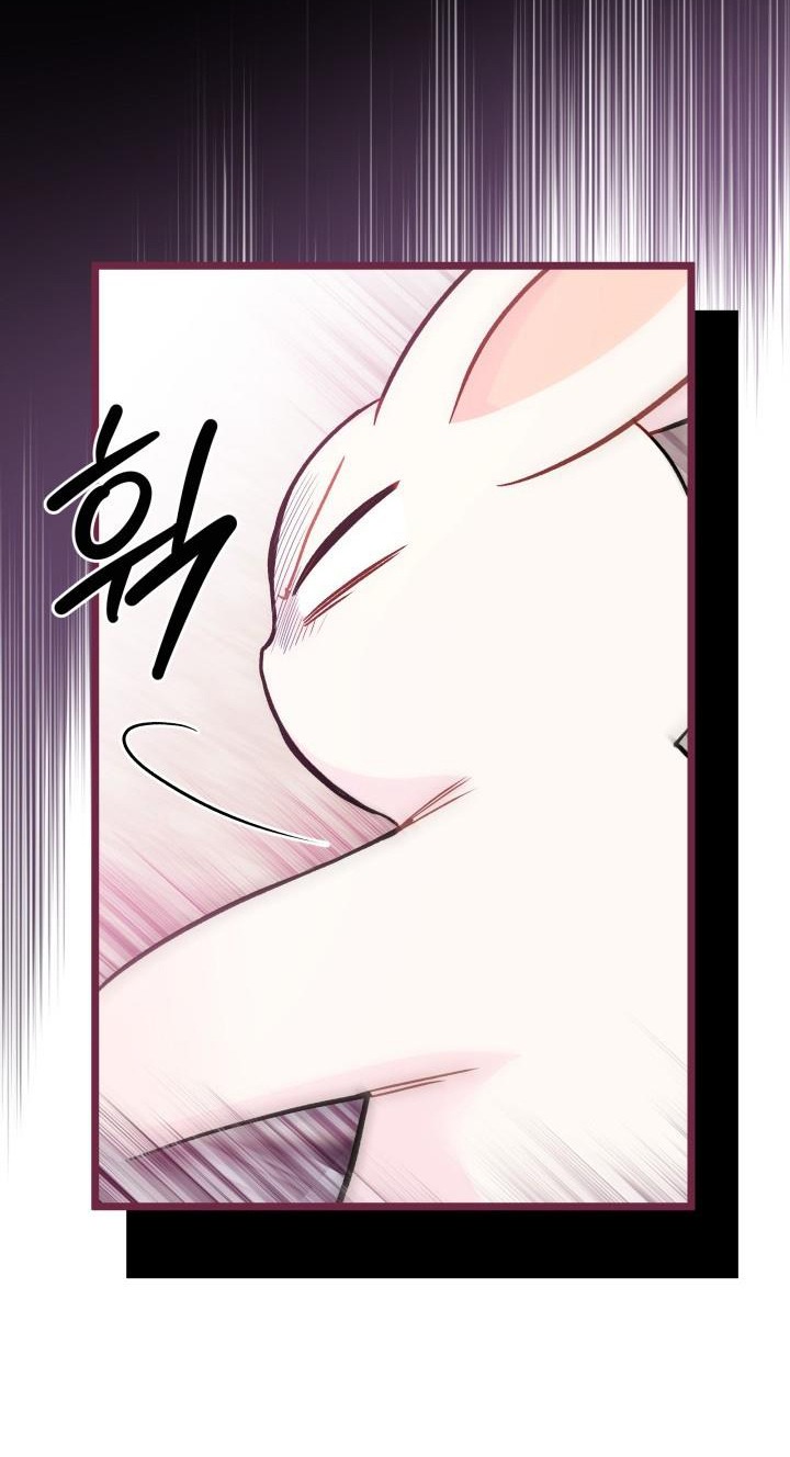 mối liên kết giữa báo đen và bé thỏ chapter 152 13