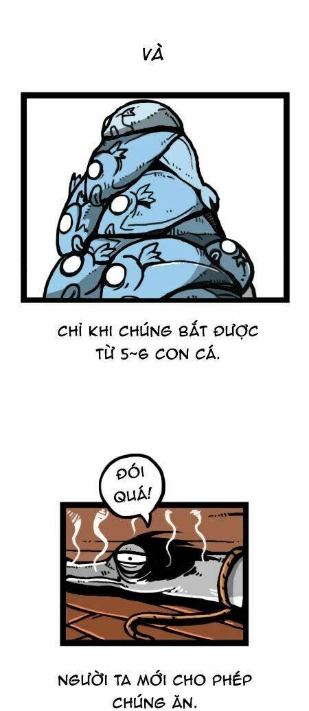 earth, human, and animal chapter 20 25