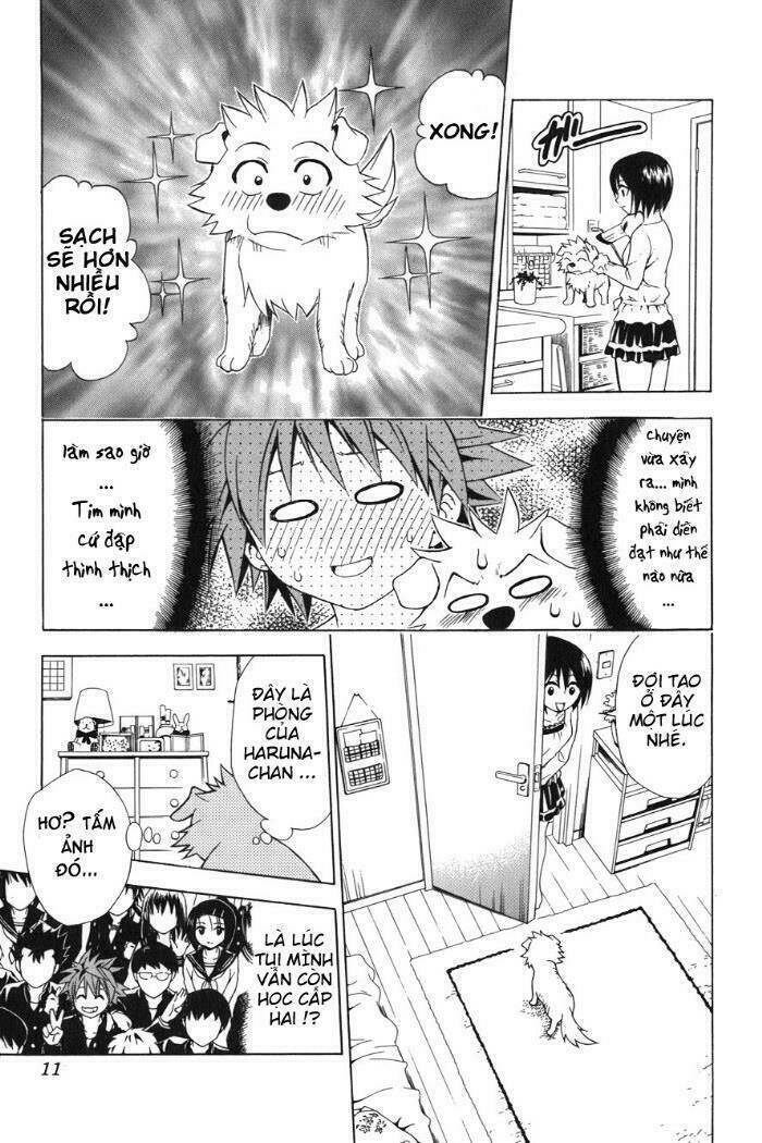 bọn tớ thích cậu! rito chapter 44 11