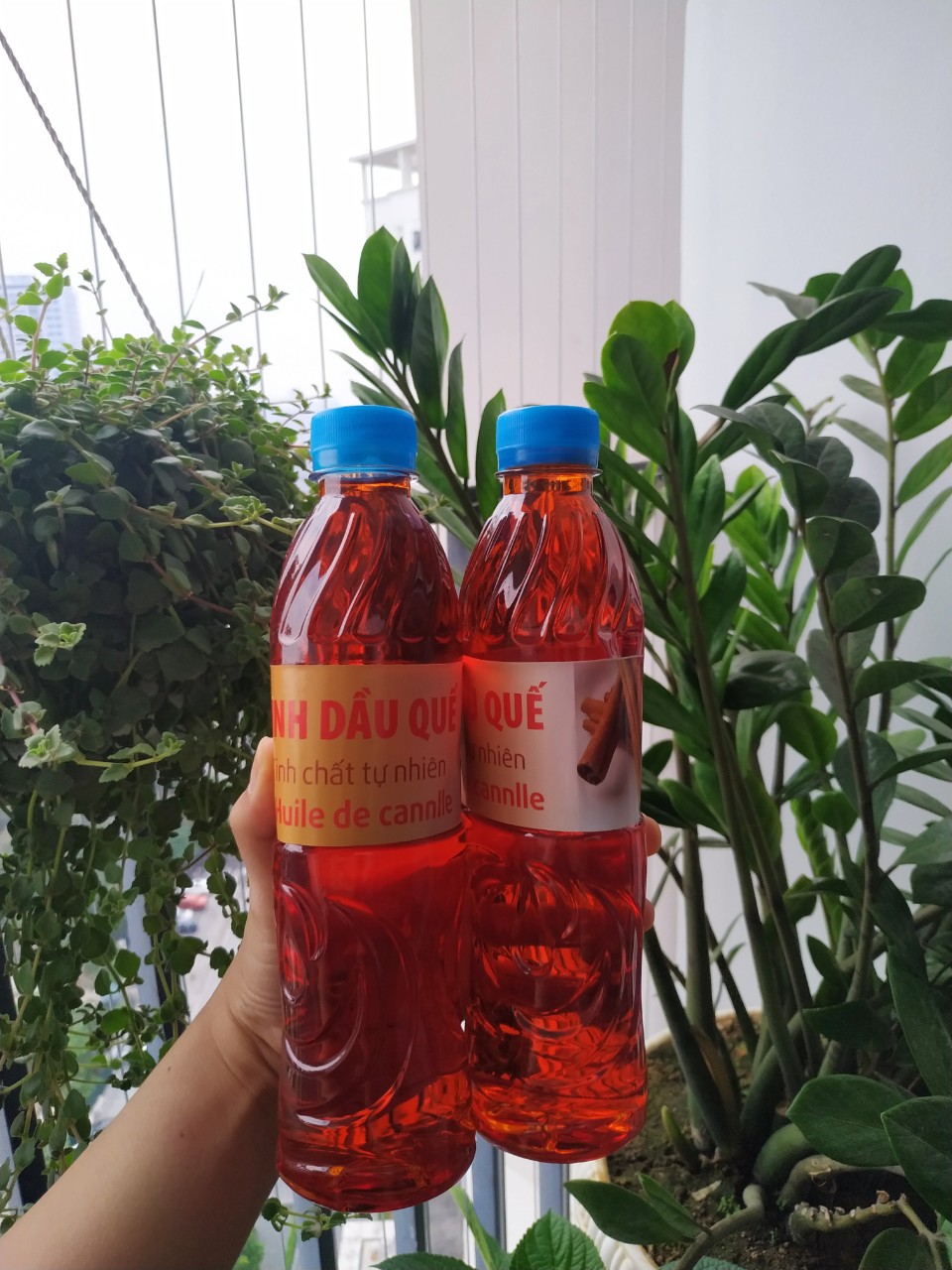 Tinh dầu quế lau nhà, chai 500ml