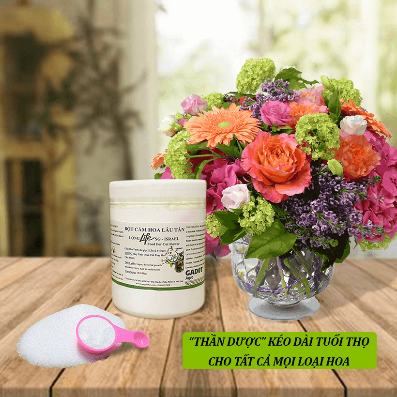 Thuốc Chăm Sóc Hoa tươi Cắm Xốp Lâu Tàn tại shop hoa Longlife SG của Israel giúp hoa tươi gấp 2 lần và hạn chế thay hoa định kỳ, hoa cắm lẵng tươi lâu