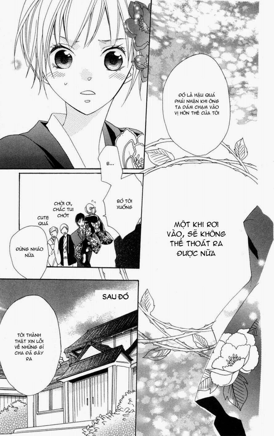 hoa hồng hoang dã chapter 1 42
