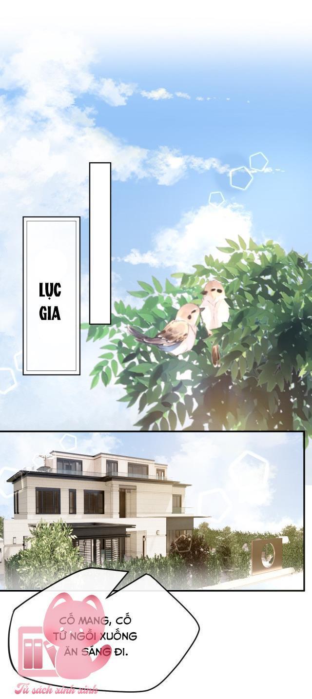 phu nhân mỗi ngày đều tại tuyến vả mặt chapter 3 27